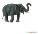 CollectA - Ázsiai Elefánt
