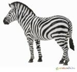 CollectA - Közönséges Zebra