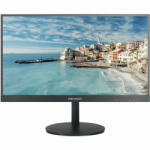 Hikvision DS-D5022FC-C Monitor
