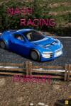 Valkeala Software Nash Racing Pursuit (PC)