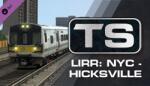 Dovetail Games Train Simulator Long Island Rail Road: New York-Hicksville Route Add-On DLC (PC)