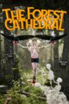 Whitethorn Games The Forest Cathedral (PC)