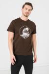 PEGAS Tricou Casual Sfinx Barbati Coffee-l (ps2122-00-27cfs-l) - Technodepo