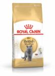 Royal Canin British Shorthair Adult 10kg + SURPRIZĂ PENTRU PISICĂ ! ! !