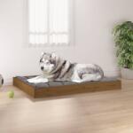 vidaXL Pat pentru câini, maro miere, 101, 5x74x9 cm, lemn masiv pin (820869) - comfy