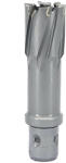 CRIANO DiamantatExpert 24 mm DXDY.P-TCT-50.24.QI