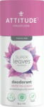 ATTITUDE Super Leaves White Tea deo stick 85 g