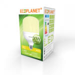 ECOPLANET Bec LED Ecoplanet T100 forma cilindrica, E27, 30W (200W), 2850 LM, F, lumina calda 3000K, Mat (ECO-0202)