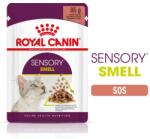 Royal Canin Sensory Smell hrana umeda pisici plicuri 12x85g