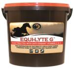 FORAN EQUINE Equi-Lyte G 10 kg - petissimo