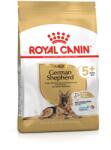 Royal Canin German Shepherd Adult 5+ 12kg + SURPRIZĂ PENTRU CÂINELE TĂU ! ! !