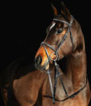 Horze Constance kantár, barna, póni (HH10040LBRP)