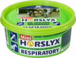 DERBY Horslyx Respiratory - 650 g