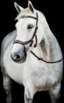 Horseware Ireland Micklem 2 Multi Bridle, dark havana - Standard Horse