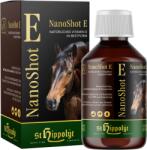 St. Hippolyt WES Nanoshot E - 300 ml