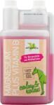 Bense & Eicke Magnesium plus Vitamin B - 1.000 ml