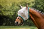 Horseware Ireland Amigo FlyMask légymaszk "oatmeal/green" - Póni