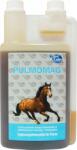 NutriLabs PULMOMAG folyadék lovaknak - 1 l