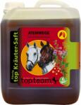 topteam top Légutak gyógynövénylé - 2, 50 l