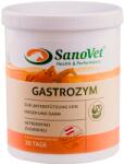 SanoVet GASTROZYM - 1 kg