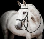 Horseware Ireland Micklem 2 Competition Bridle, fekete - Small Horse