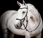 Horseware Ireland Micklem 2 Competition Bridle, fekete - Standard Horse