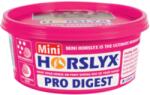 DERBY Horslyx Pro Digest - 650 g