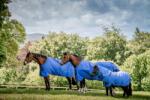 Horseware Ireland Amigo Hero 600D Ripstop 0 g Outdoor takaró, blue/navy&grey - 140 cm