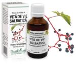 PlantExtrakt, Romania Extract Din Mladite De Vita De Vie Salbatica 50ml