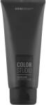 EVA PROFESSIONAL Mască de păr tonificantă - Eva Professional Divina Color Studio Color Mask Black