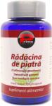 Primo Nutrition Radacina de Piatra (Collinsonia), 500 mg, 120 capsule