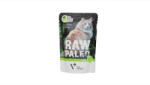 VetExpert Raw Paleo venision 100 g