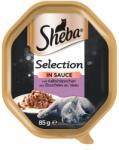 Sheba Selection hrana umeda pentru pisici, vitel in sos 22 x 85 gr