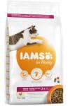 Iams For Vitality pentru pisici vârstnice, cu pui 3 kg