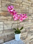  Orchidea 1 szálas -pink (pinkorchidea)