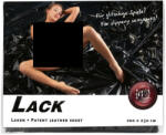 Fetish Fényes lepedő - 200 x 230cm (fekete) (02504650000)