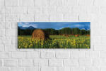 4 Decor Tablou canvas panoramic - Field - beestick-deco - 99,99 RON
