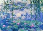 Enjoy - Puzzle Claude Monet: Nympheas - 1 000 piese Puzzle