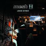 Mesh Looking Skyward - facethemusic - 7 490 Ft