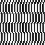 Vacant Lots Endless Night -ltd-