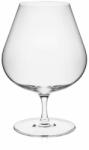 RONA Brandy/konyakospohár készlet 530 ml 6 db UNIVERSAL (7558 530)