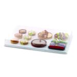 Silikomart Kit Formare Produse Multistrat - I Love Levels, 60 x 40 x h 5.5 cm (25.434.99.0082) Forma prajituri si ustensile pentru gatit