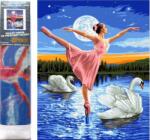 NORIMPEX - Puzzle Diamond Painting Baletka medzi labuťami 30x40cm - 1 - 39 piese
