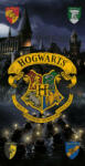 Harry Potter Sorting fürdőlepedő, strand törölköző 70x140cm - lord