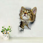  Sticker decorativ Here I Am Kitten looking up 25x16.5. cm