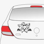  Sticker auto Yorkie 2