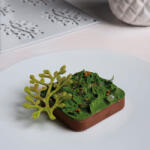 Pavoni Forma Silicon Gourmand Bonsai 8 x 5.5 x H 0.2 cm, 8 cavitati (GG030S) Forma prajituri si ustensile pentru gatit