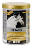 Equistro Flexadin UC2 600 g (VQ427011)