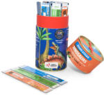 Chalk and Chuckles Joc Smart Sticks - Dinozauri (CCPPL060)