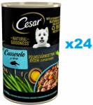 Cesar conserva hrana umeda pentru caini adulti 24x400g cu peste in sos